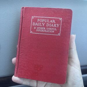 Vintage 1933 Popular Daily Diary Great Depression Shabby Decor Book - 3 Entries